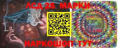стафф Будённовск